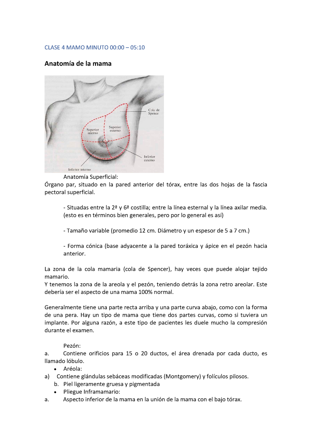 Anatomía mamográfica - CLASE 4 MAMO MINUTO 00:00 05:10 de la mama  Superficial: par, situado en la - Studocu