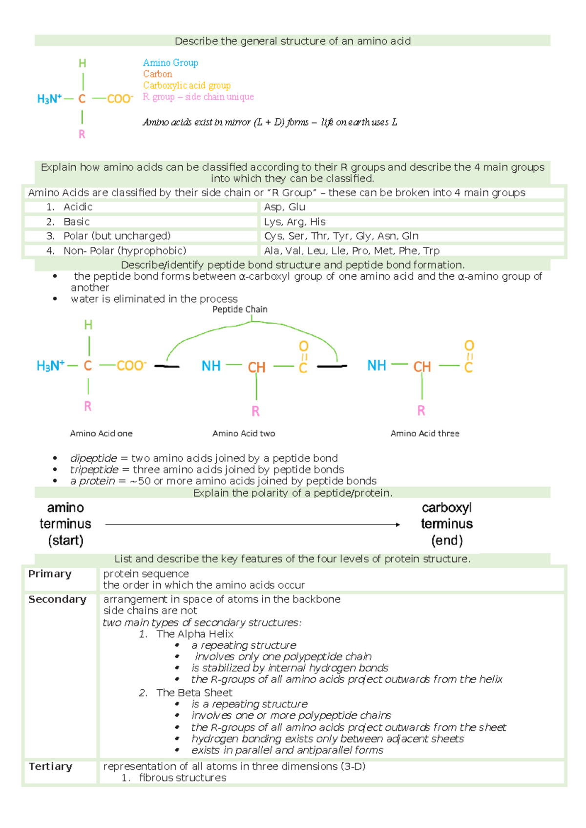 BIOC2101 Notes - Describe the general structure of an amino acid ...