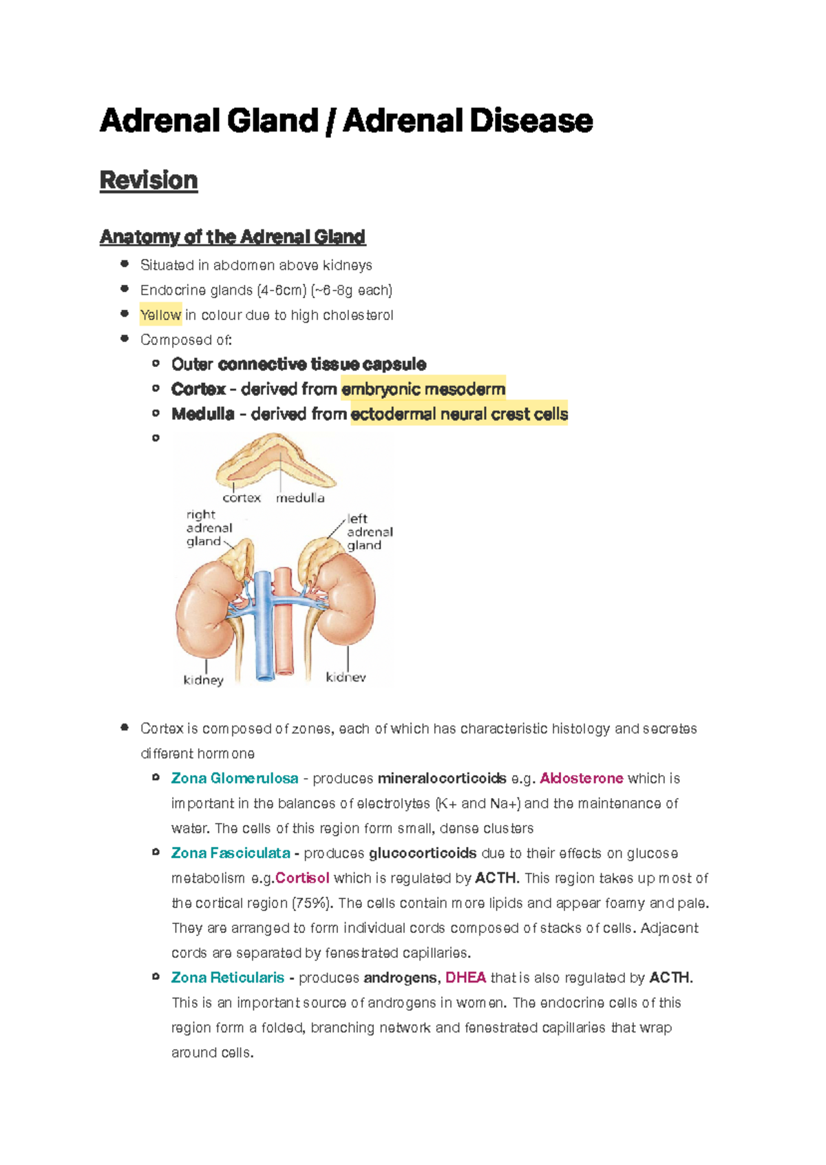 Adrenal Gland Adrenal Disease Ad Re N A L G L A N D Ad Re N A L D I