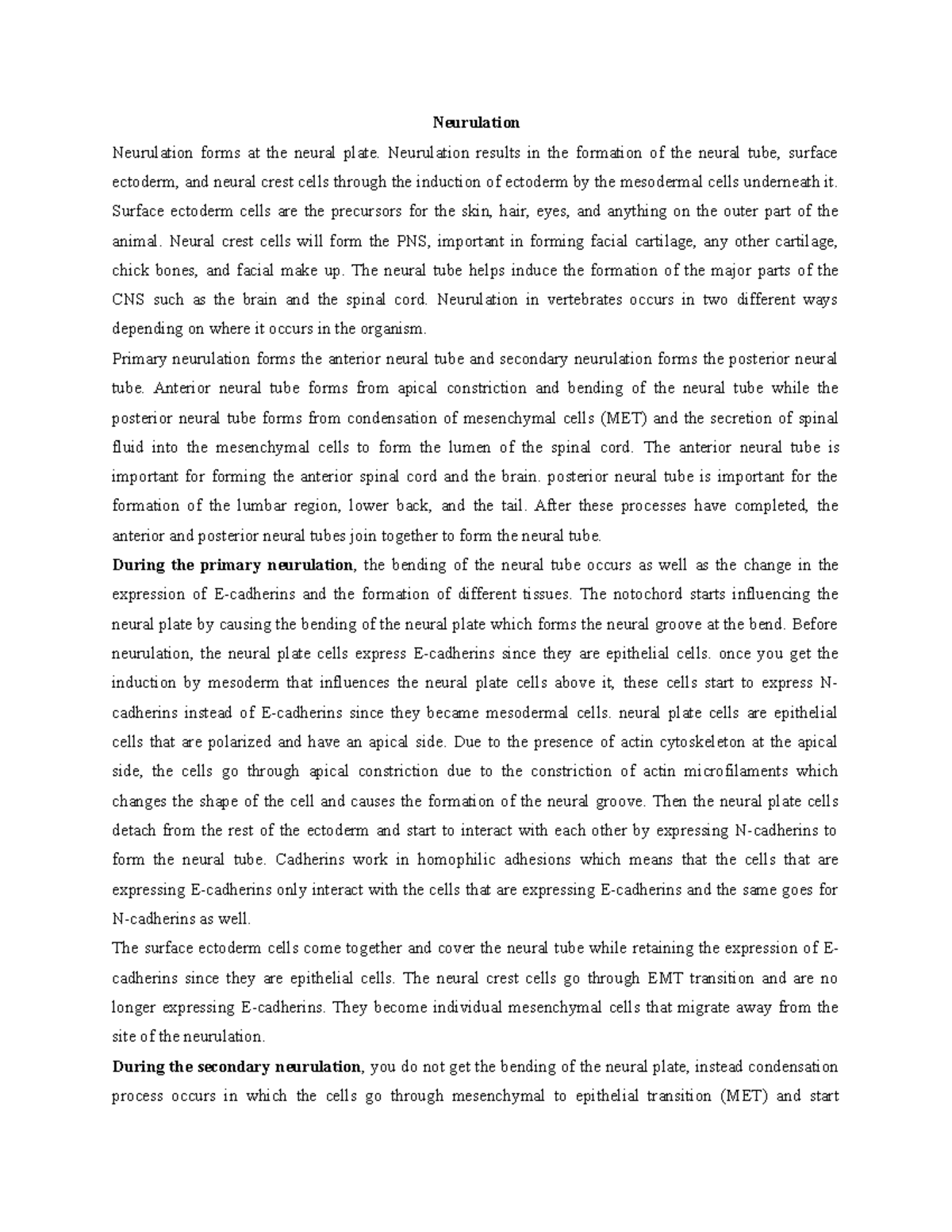 Doc3 - lecture notes for exam - Neurulation Neurulation forms at the ...