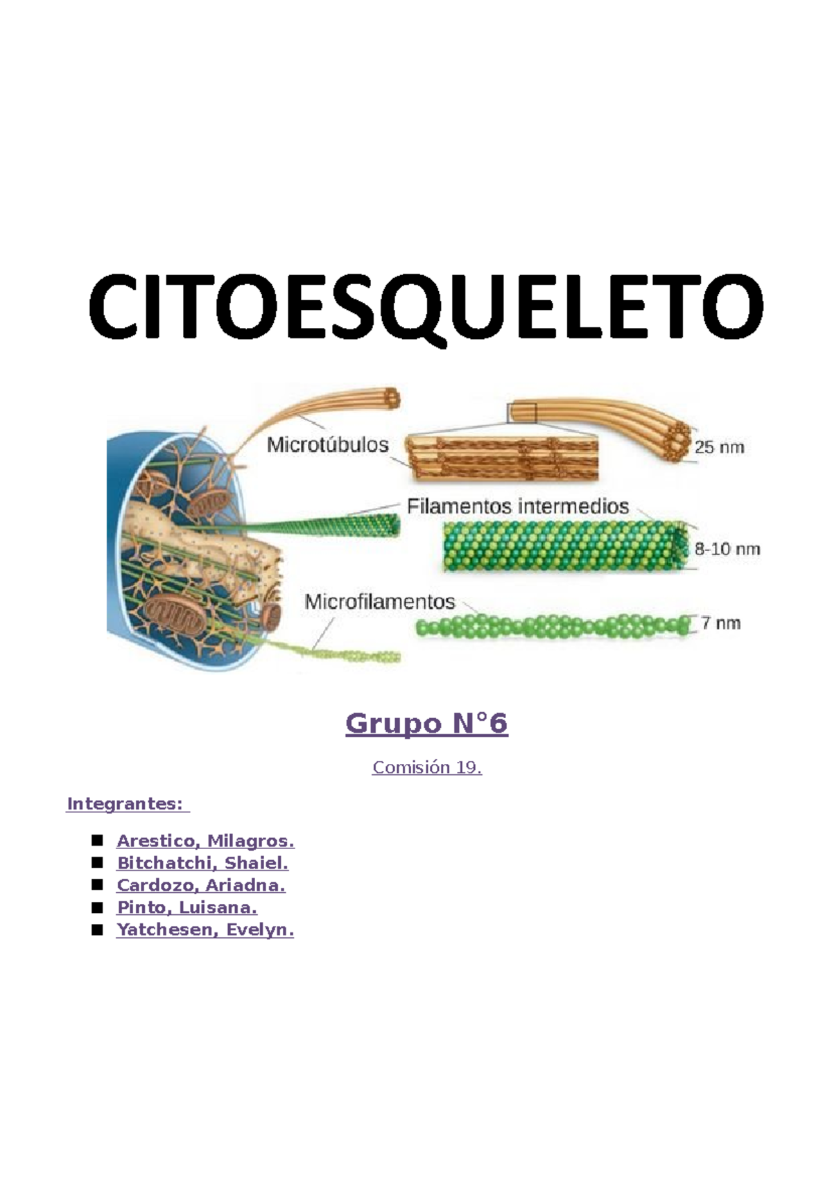 Citoesqueleto - Grupo N° Comisión 19. Integrantes: Arestico, Milagros ...