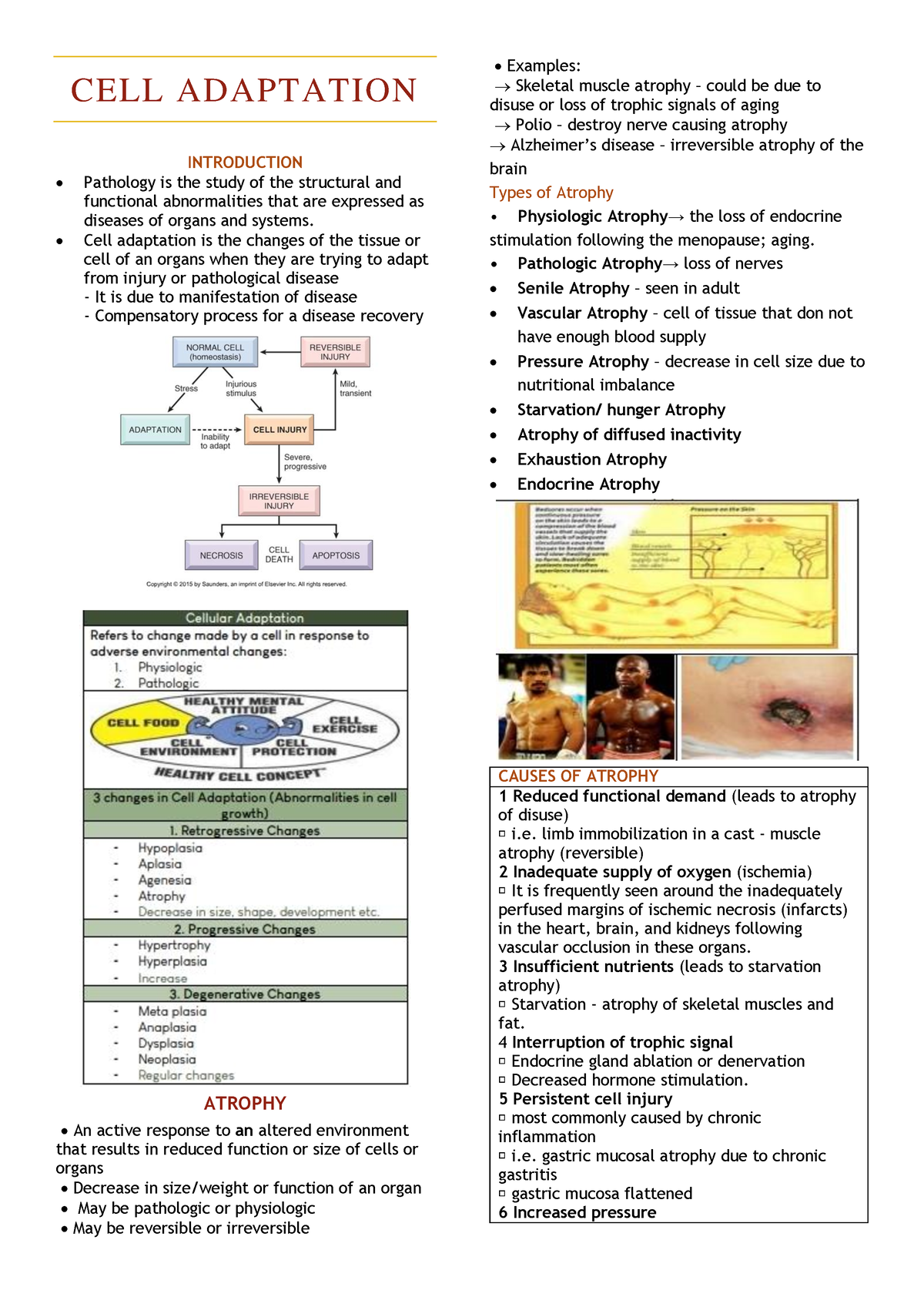 CELL- Adaptation - Summary Medical Technology - CELL ADAPTATION ...