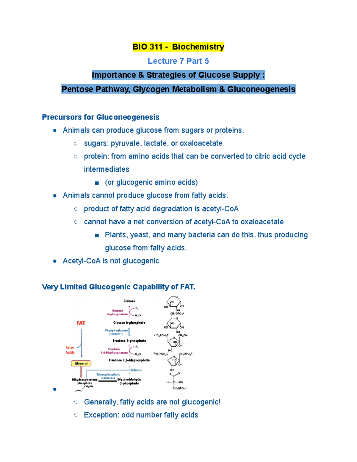 BIO 311 Lecture 7 Part 5 Fall 2020 - BIO 311 - Biochemistry Lecture 7 ...