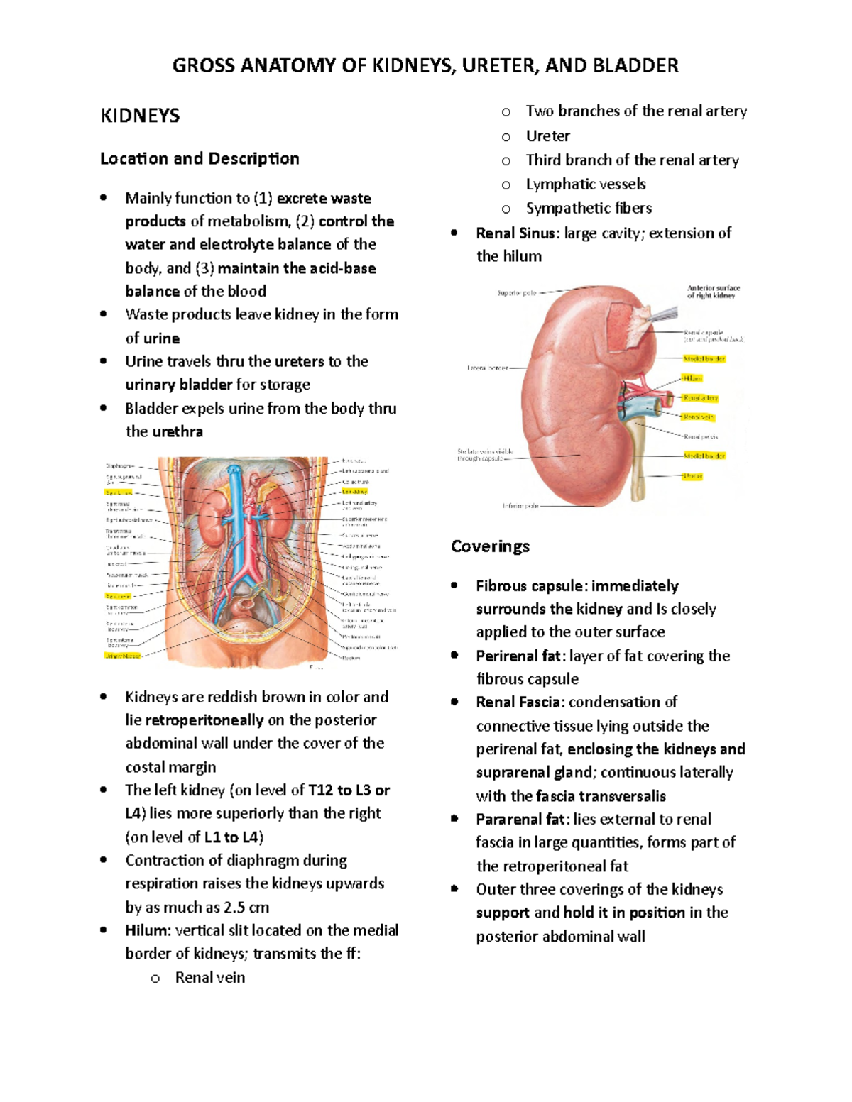 GA 01-04-2020 Gross Anatomy OF Kidney, Ureter, Bladder Outline ...