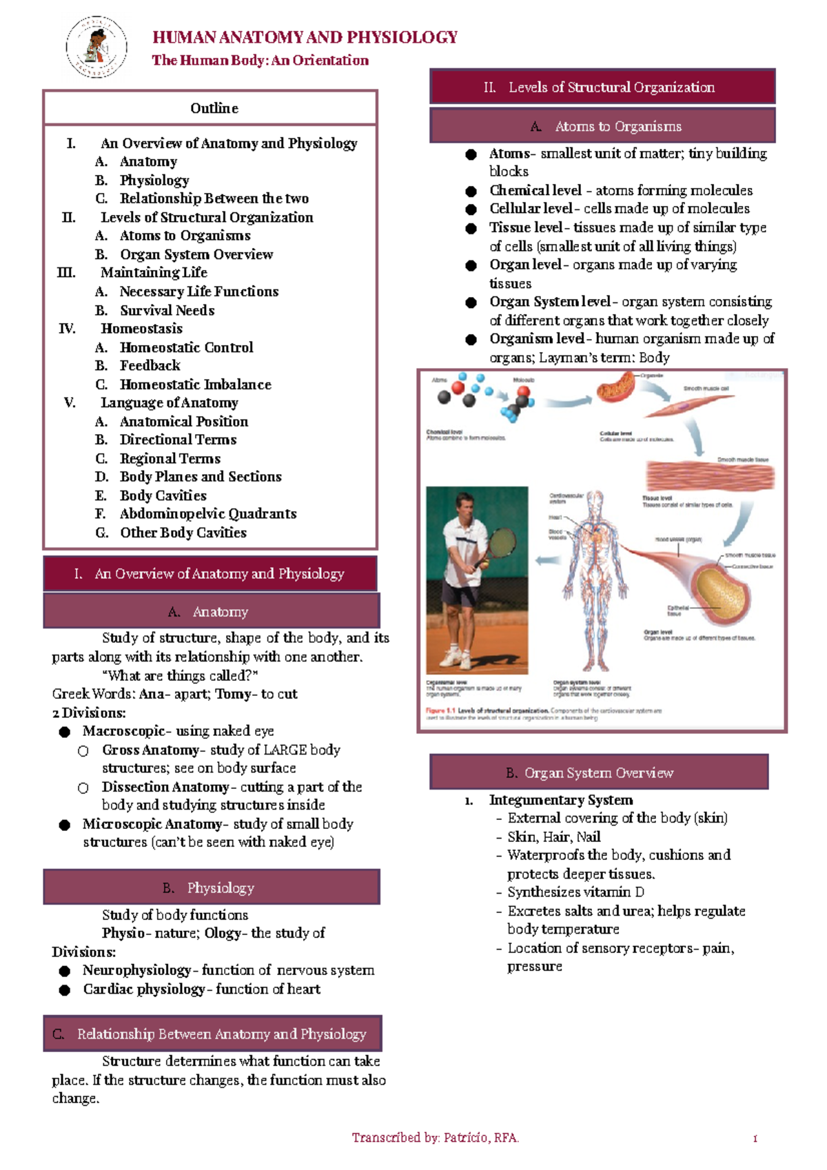 1- The Human Body Orientation - HUMAN ANATOMY AND PHYSIOLOGY The Human ...