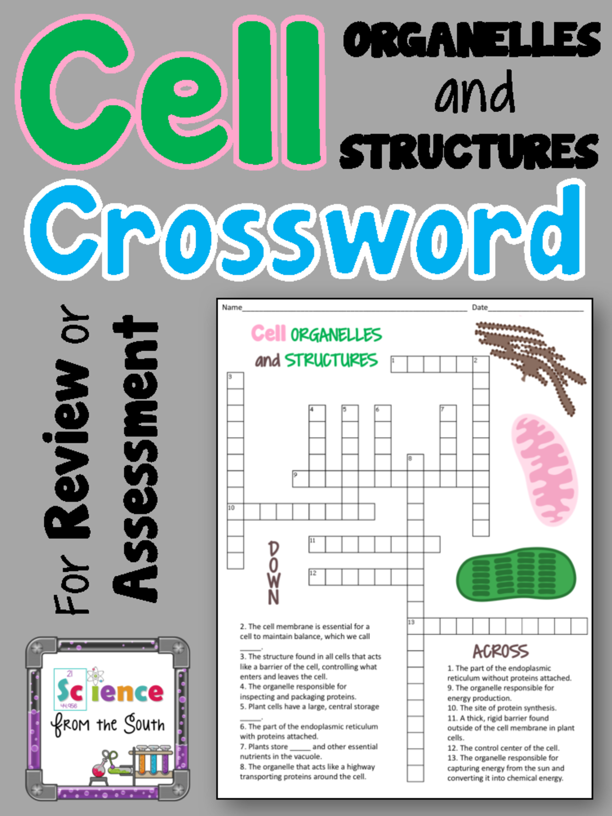 Cell Organellesand Structures Crossword Puzzle Freebie 1 For Review 