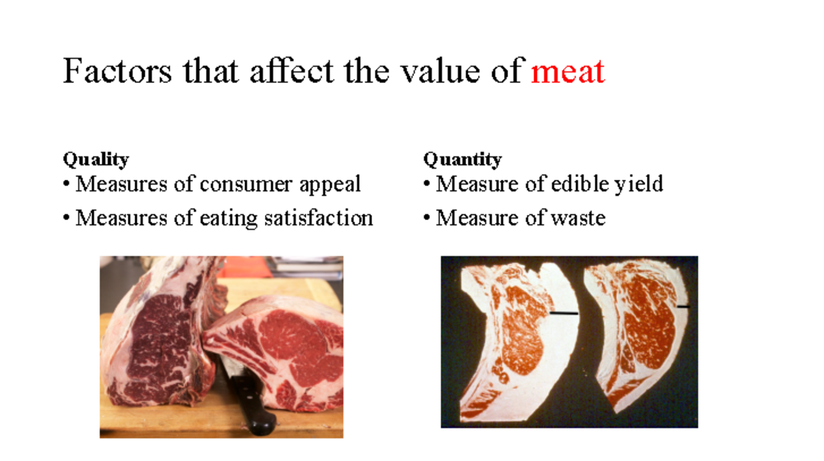 Carcass Evaluation(3) 2 LAB - Factors that affect the value of meat ...