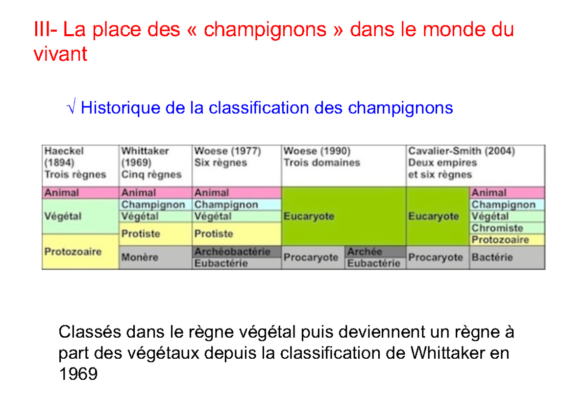 (2,1) Mycologie - Note De Cours - Ö Historique De La Classification Des ...