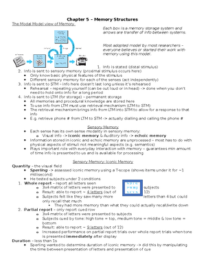 Chapter 6 - Summary Cognitive Processes - Chapter 6: Memory Processes ...