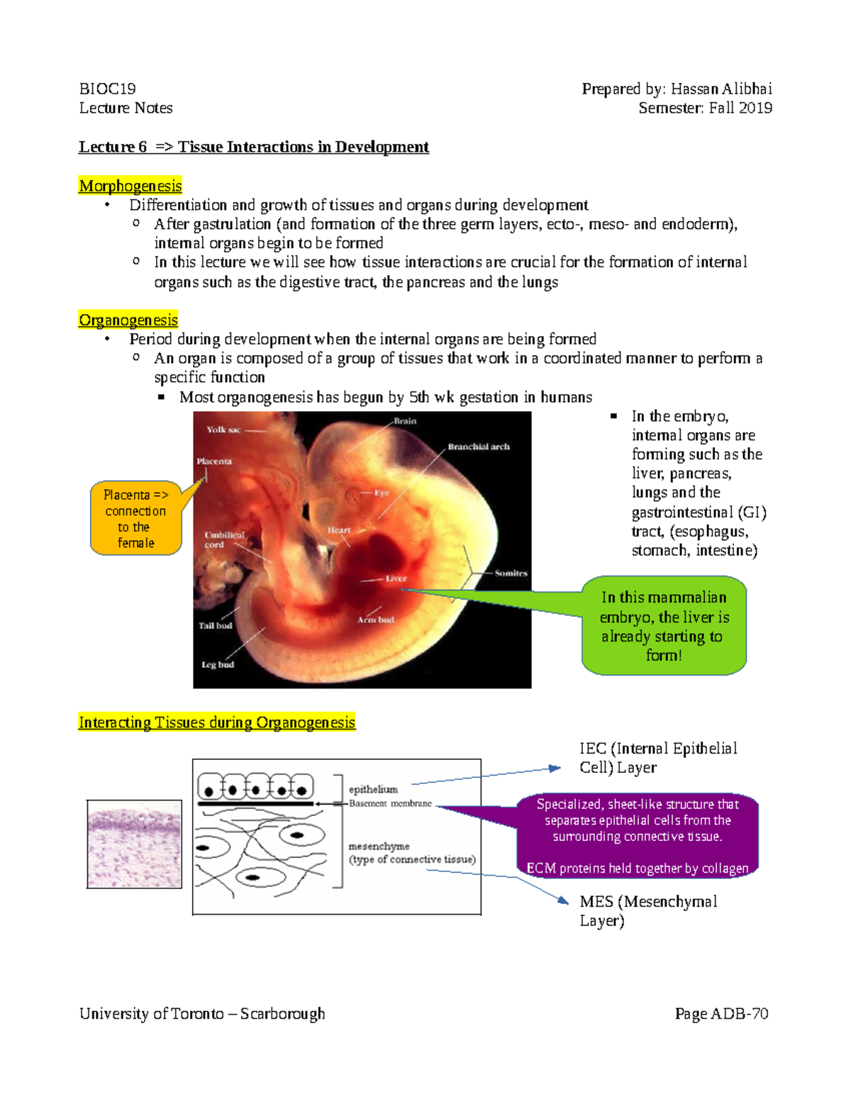 BIOC19 Lecture 6 Notes - Lecture Notes Semester: Fall 2019 Lecture 6 ...