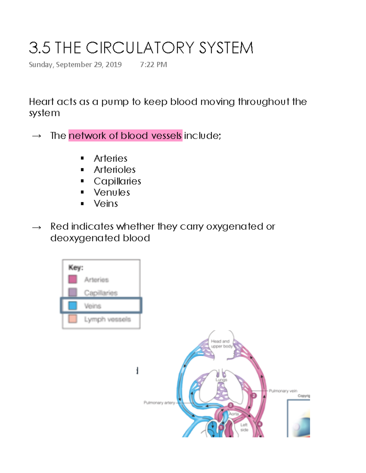 3.5 THE Circulatory System Heart acts as a pump to keep blood moving