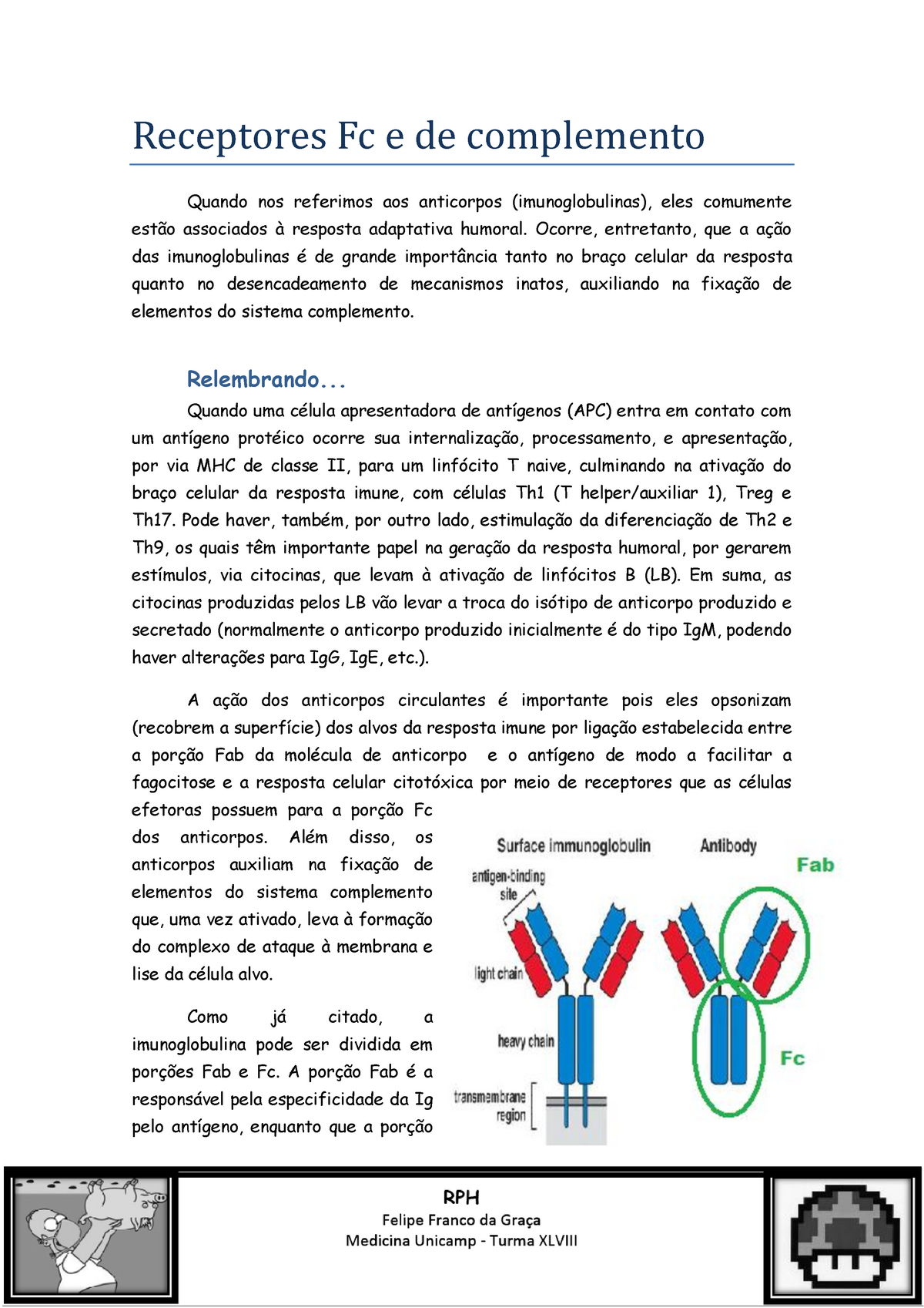 Receptores Fc E De Complemento Receptores Fc De Complemento Quando Nos Referimos Aos Anticorpos Imunoglobulinas Eles Comumente Associados Resposta Adaptativa Studocu