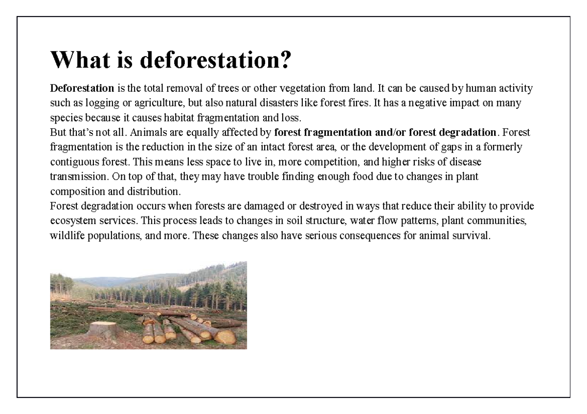 Venom 1 - defeoufc - What is deforestation? Deforestation is the total ...