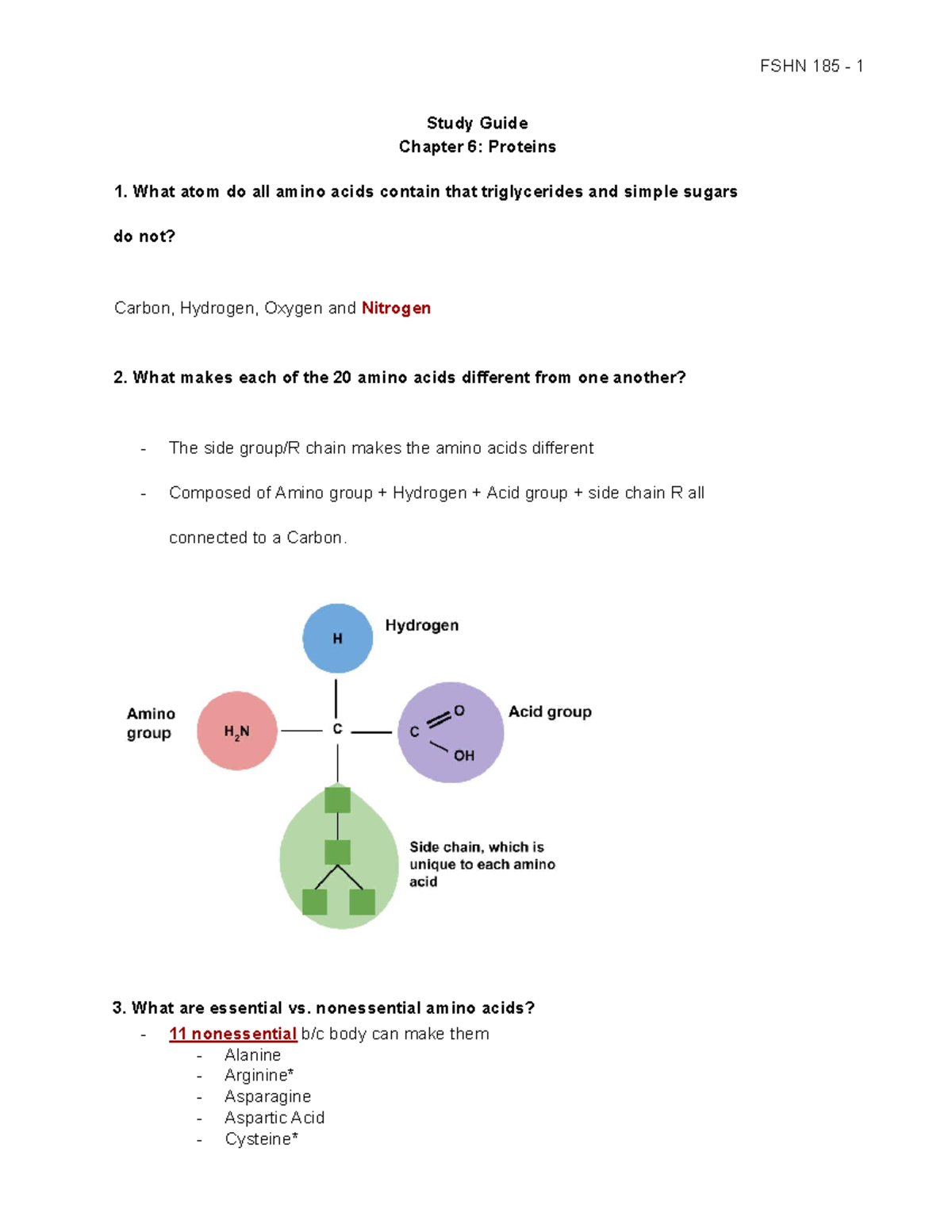 FSHN 185- Ch 6 Protein Study Guide - FSHN 185 - 1 Study Guide Chapter 6 ...