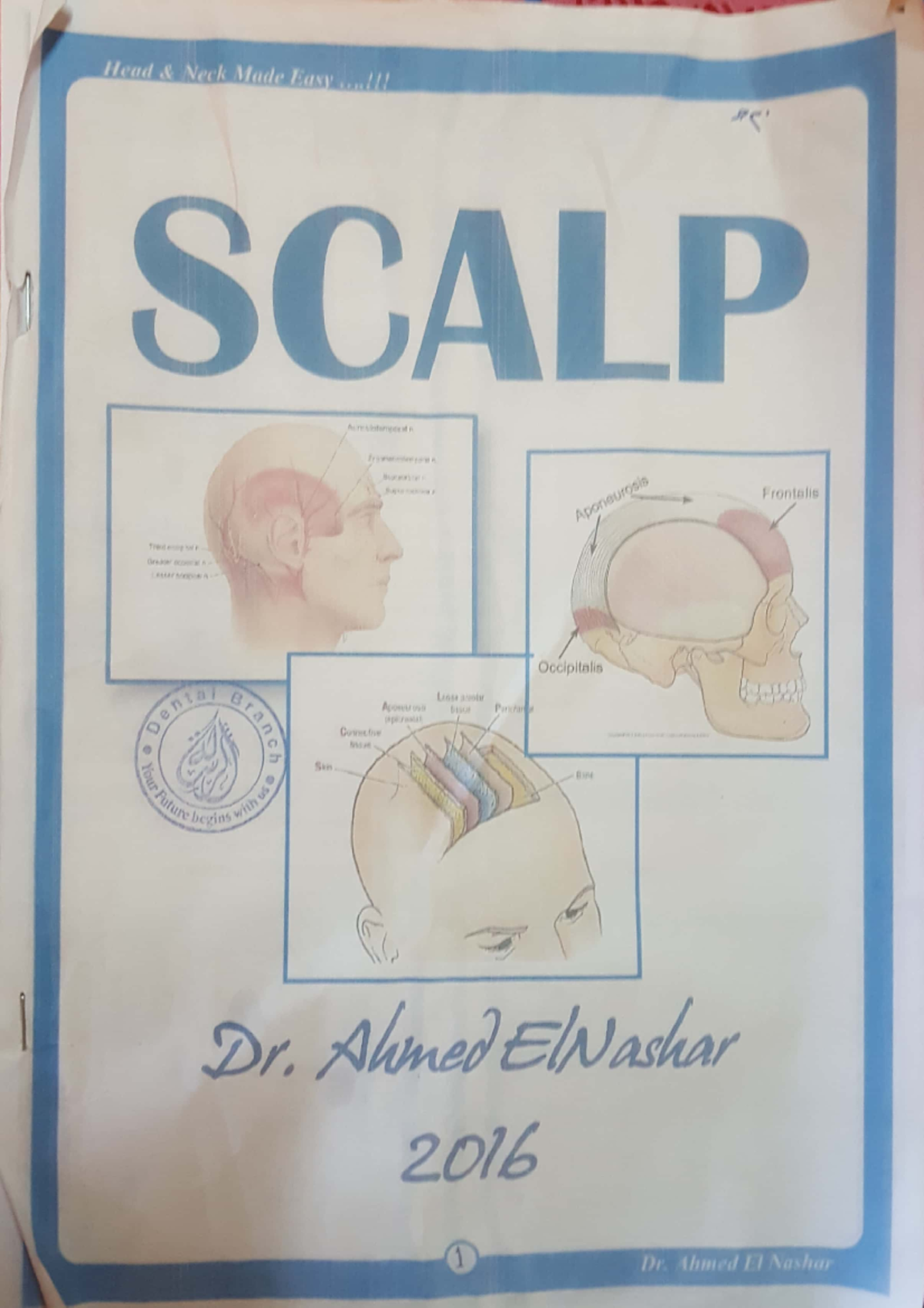 introduction to head and neck anatomy - dental surgery - Studocu
