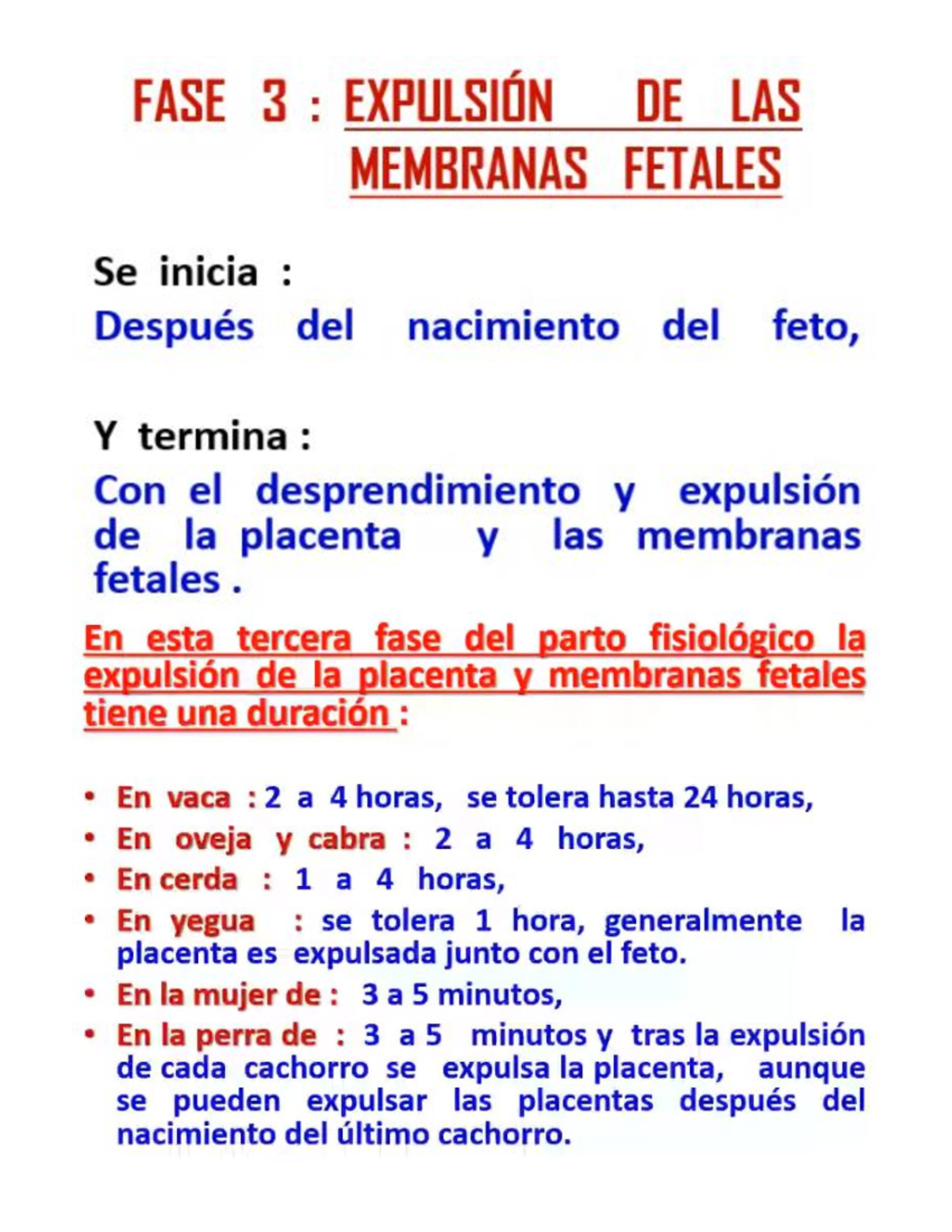 Clase 10 Obstetricia Veterinaria Retencion De Placenta Partos