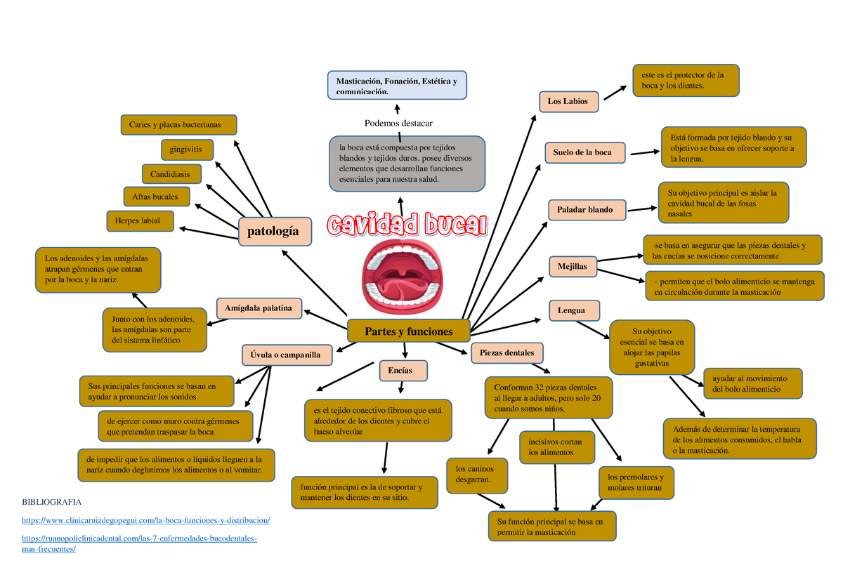 Mapa Mental Mapa Mental De La Cavidad Bucal La Boca Est Compuesta The Best Porn Website