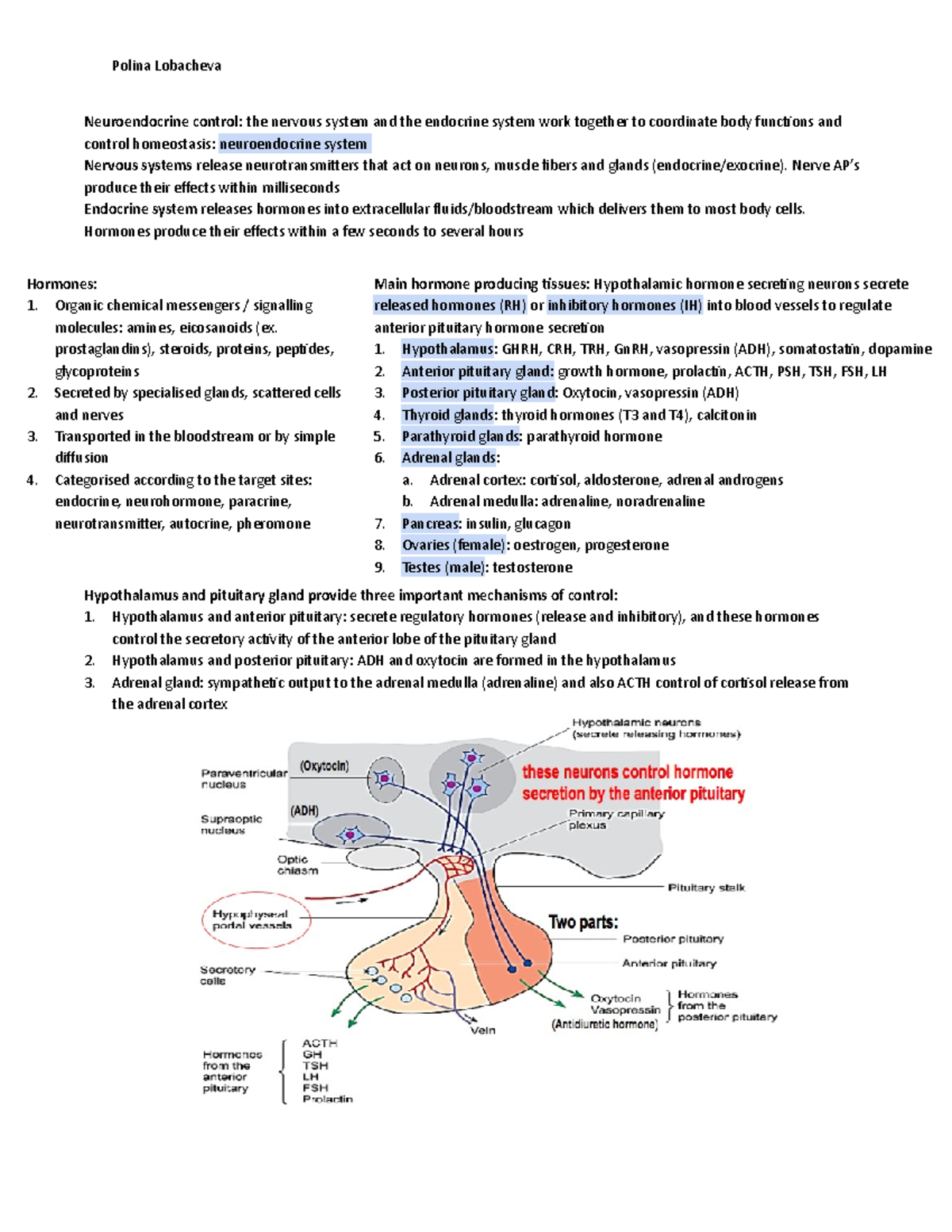 Endocrine System, Calcium Homeostasis and Bone - Neuroendocrine control ...