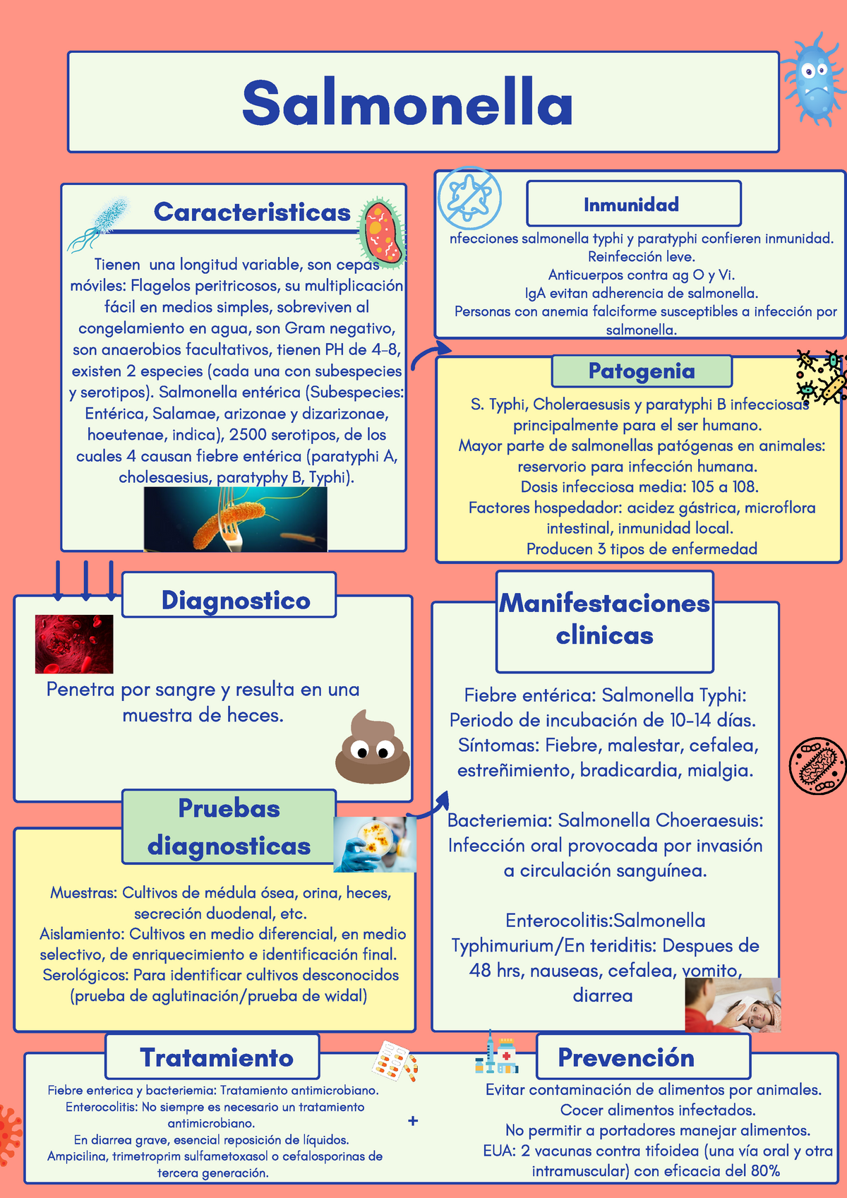 sintomas de salmonella