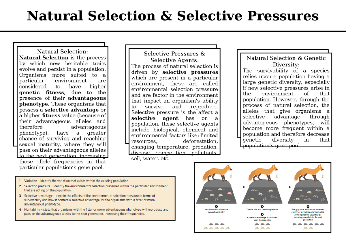 natural-selection-selective-pressures-how-species-evolve-mind-map