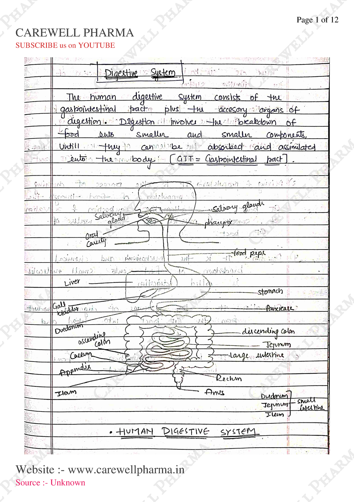 Unit 2, Human Anatomy And Physiology 2, B Pharmacy 2nd Sem, Carewell ...