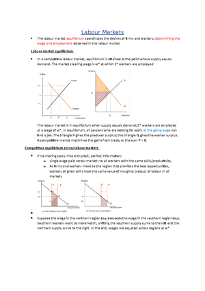 Dicrimination in the labour market - Discrimination in the labour ...