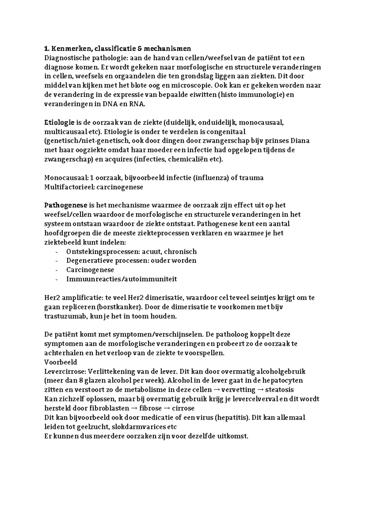 Het essay kenmerken image