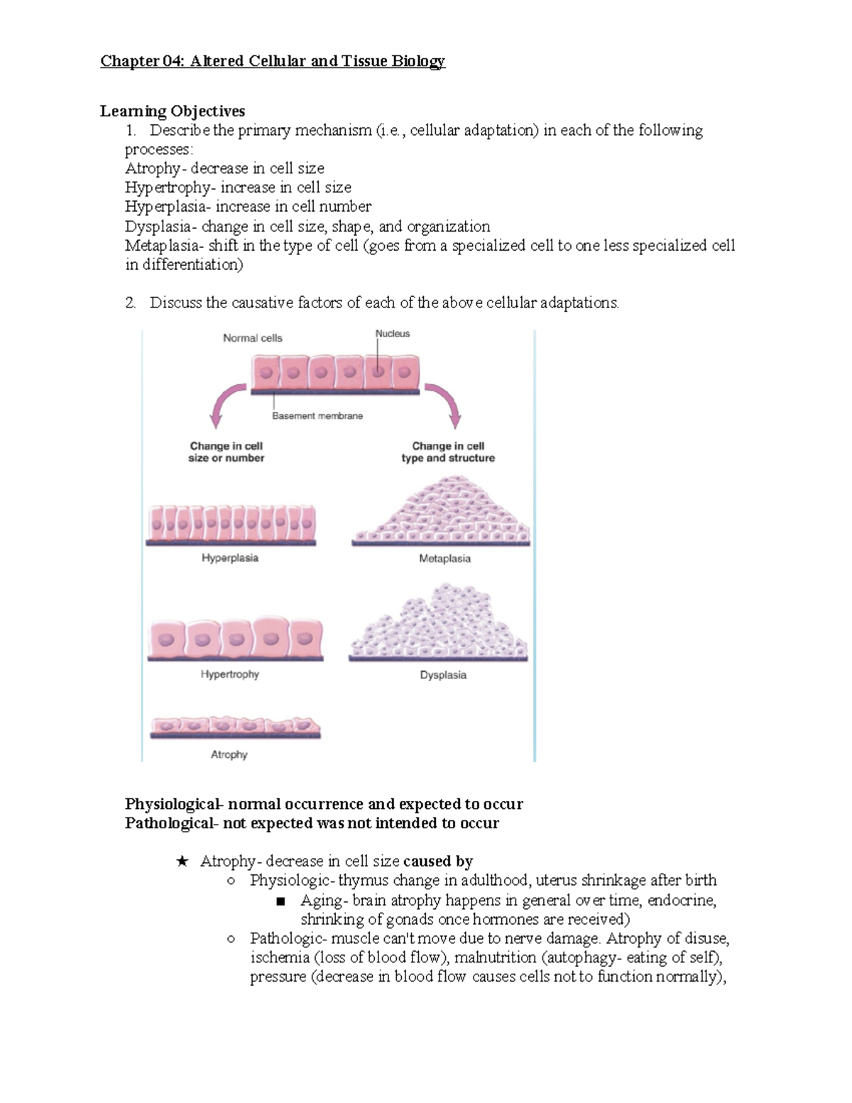 Patho Ch 4 Altered Cellular and Tissue Biology Objectives - Learning ...
