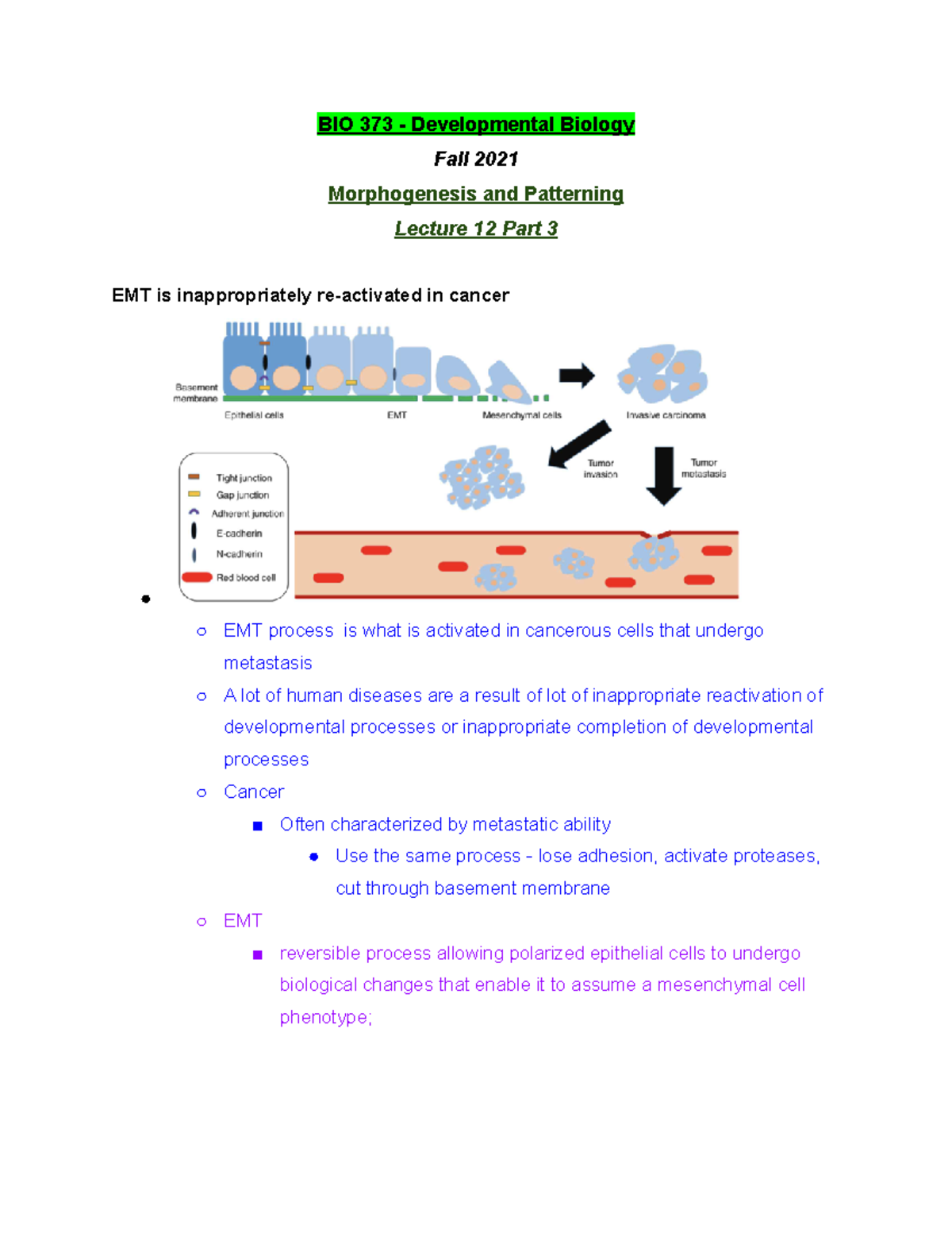 BIO 373 Lecture 12 Part 3 - Fall 2021 - BIO 373 - Developmental Biology ...