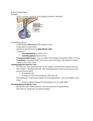 Pathophys Test 2 - Exam 2 study guide - Pathophys Exam 2: 50 mc, I ...