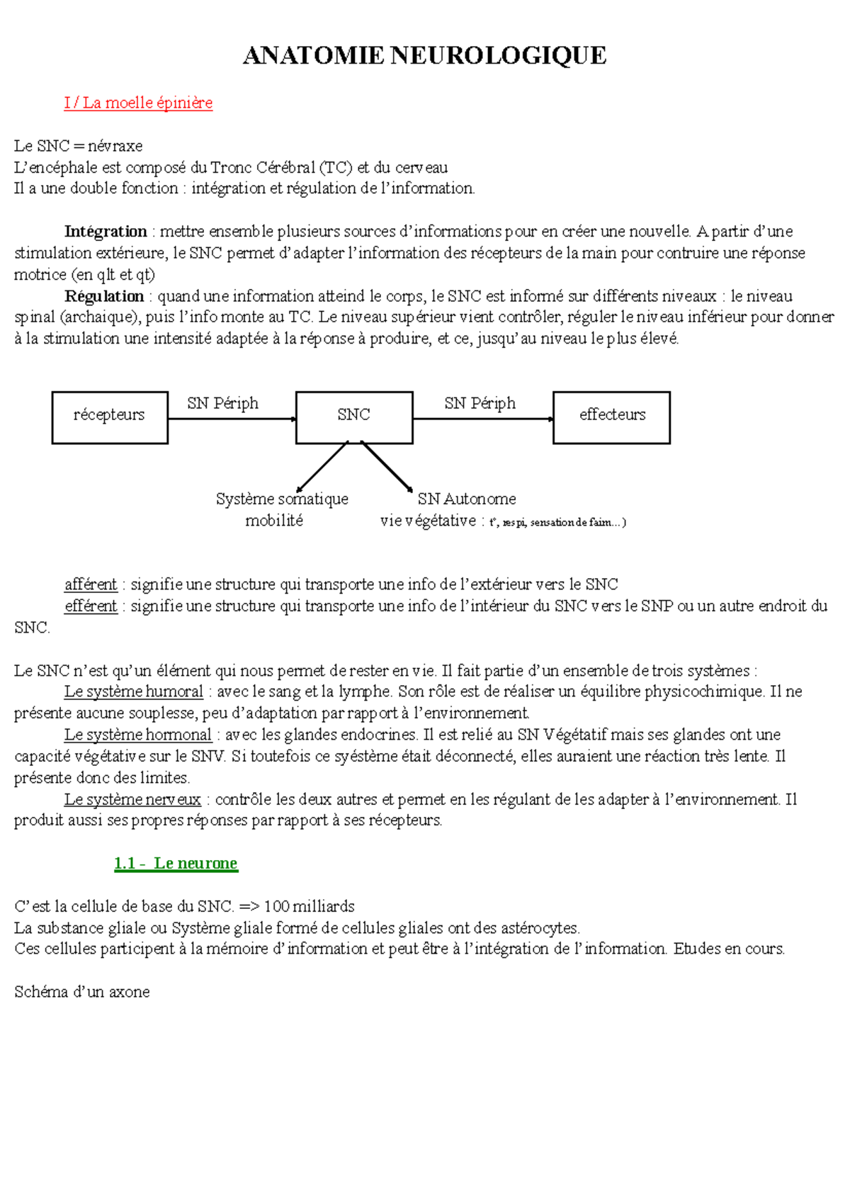 Anatomie neurologique kiné Notes de cours Anat Neuro ANATOMIE