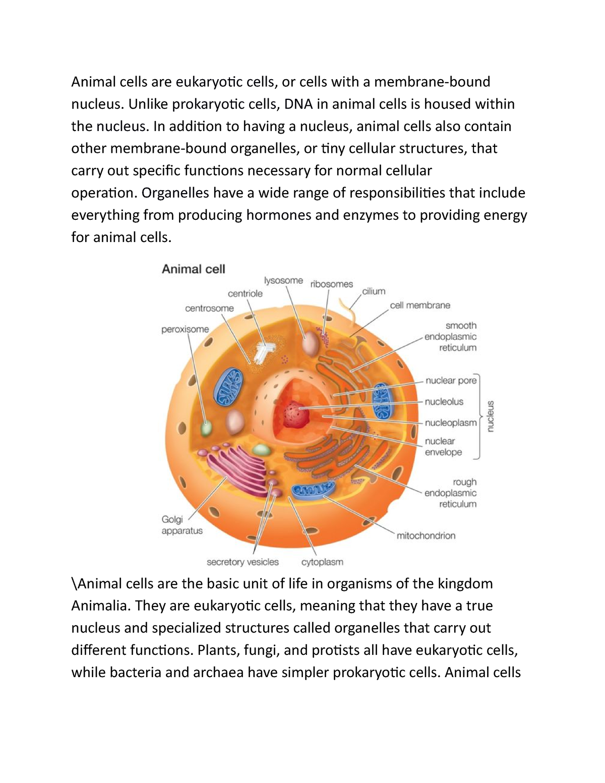 Animal cells - essay notes - Animal cells are eukaryotic cells, or cells  with a membrane-bound - Studocu