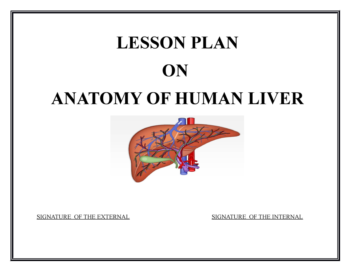 Anatomy OF THE Liver - LESSON PLAN ON ANATOMY OF HUMAN LIVER SIGNATURE ...