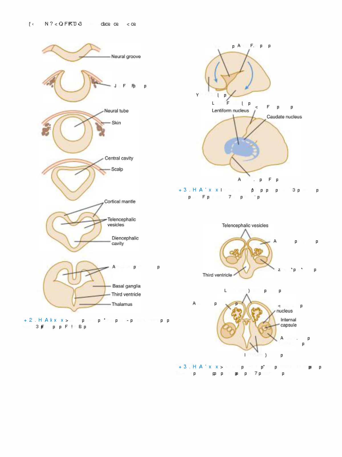 Clinical Neuroanatomy-49 - *(‹ N?