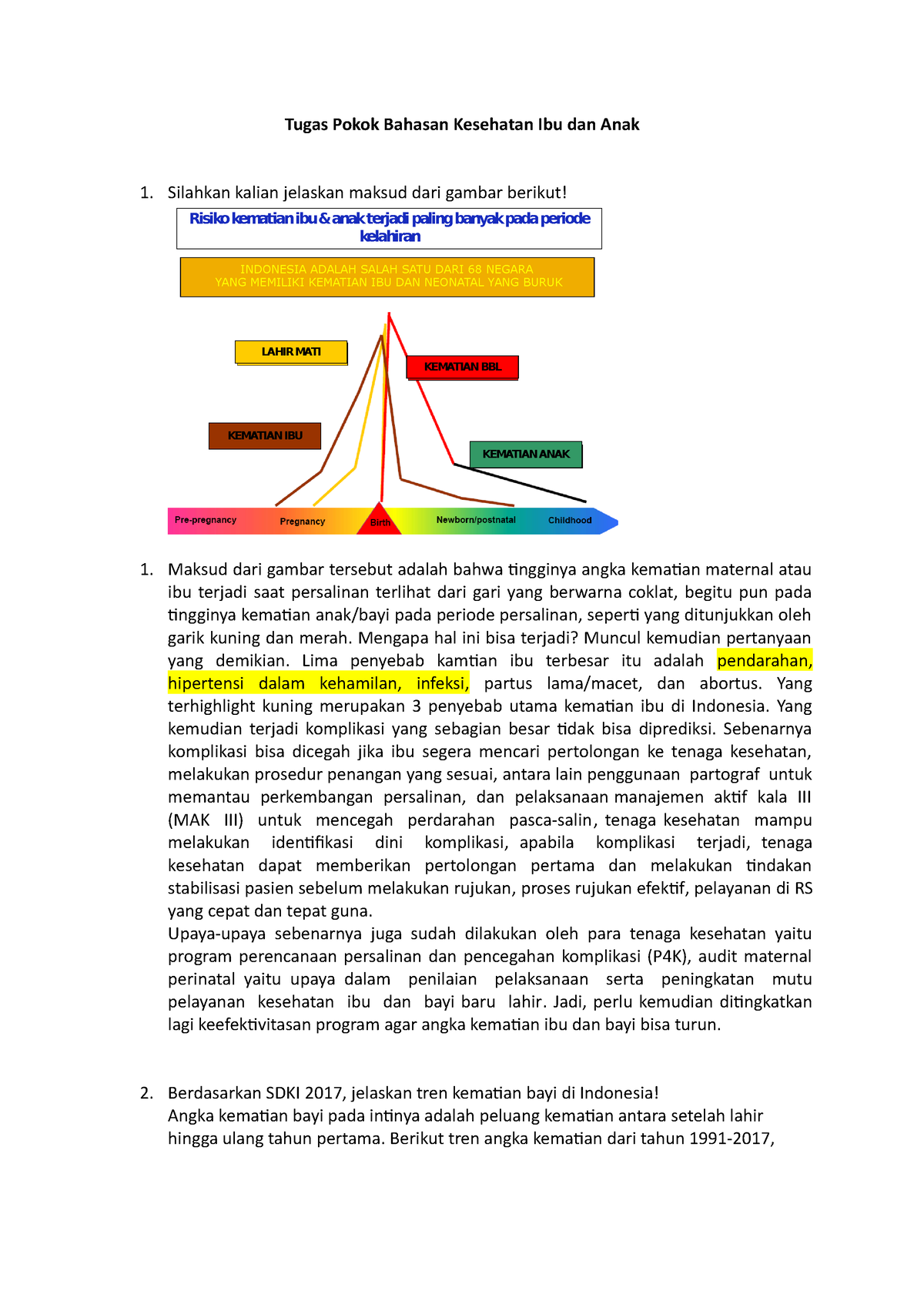 Tugas Pokok Bahasan Kesehatan Ibu Dan Anak - Tugas Pokok Bahasan ...