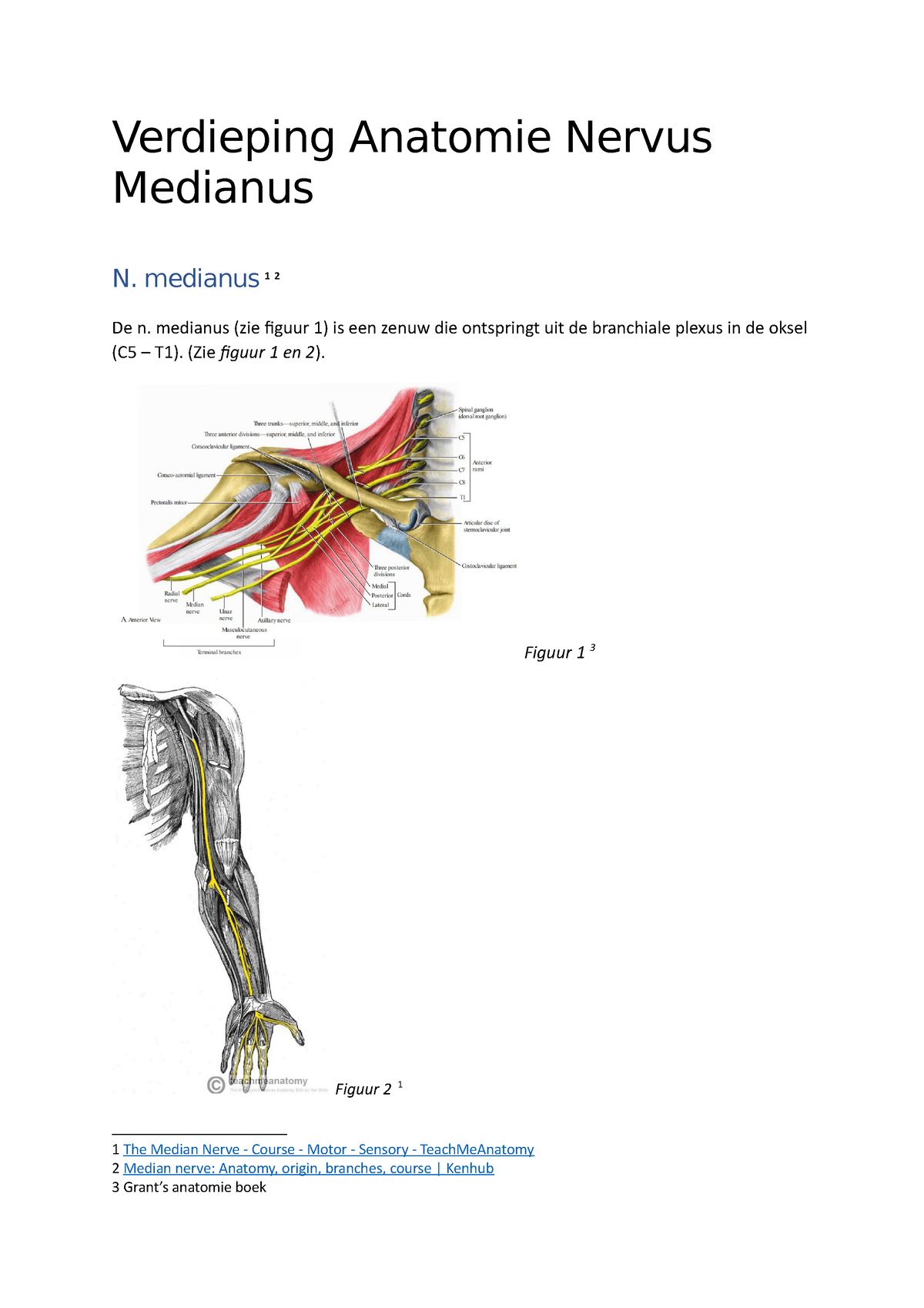 The Median Nerve - Course - Motor - Sensory - TeachMeAnatomy