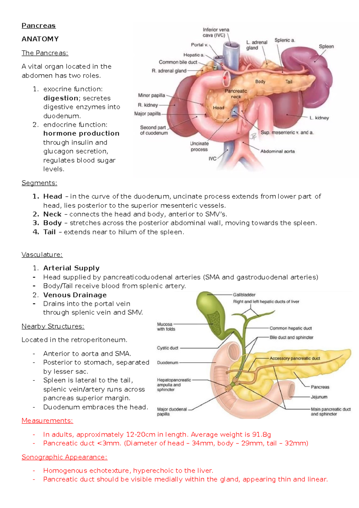 Pancreas - lecture notes - Pancreas ANATOMY The Pancreas: A vital organ ...