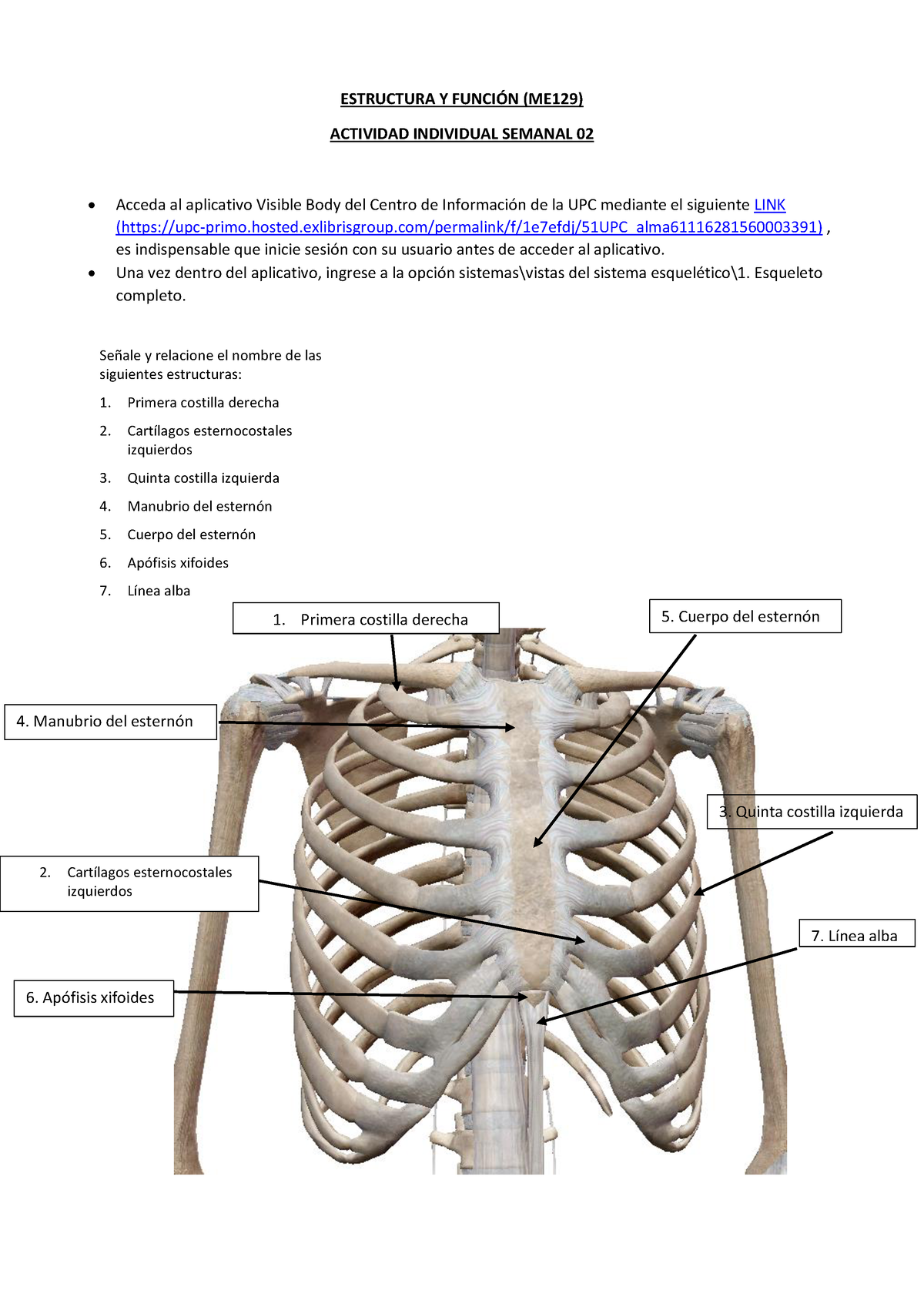 202102 ME129 Ey F Tarea Sem02 22 - ESTRUCTURA Y FUNCI”N (ME129 ...