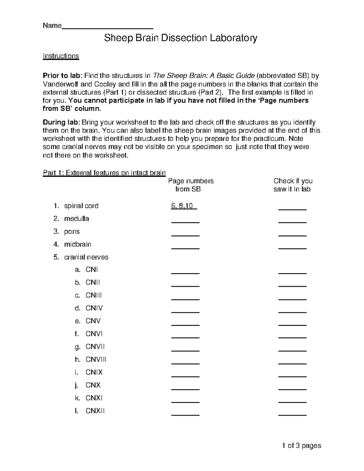 3 Worksheet Sheep Brain Dissection Laboratory Name 1 Of 3 Pages