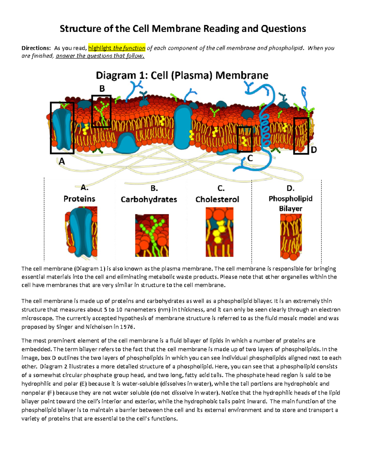 cell membrane close reading assignment answer key