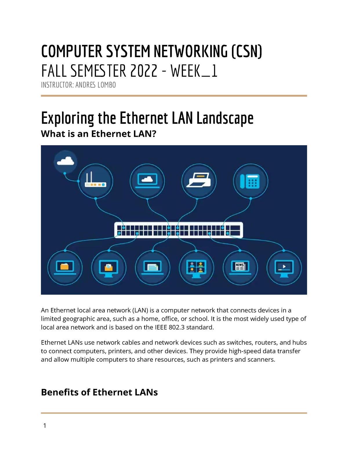 Exploring the LAN landscape COMPUTER SYSTEM NETWORKING (CSN
