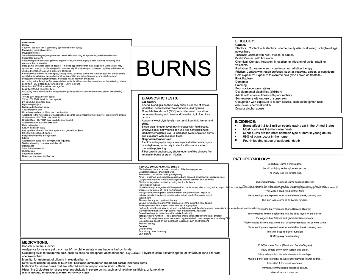 Burns Concept Map - notes - 12392 - StuDocu