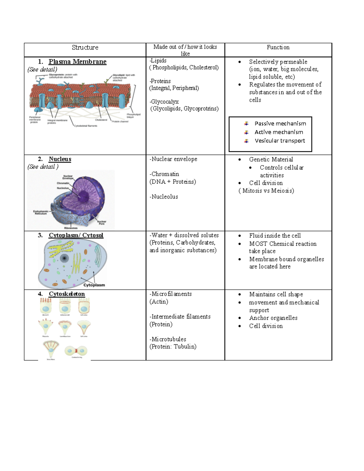 Cell structure (Major organelle - Structure Made out of / how it looks ...