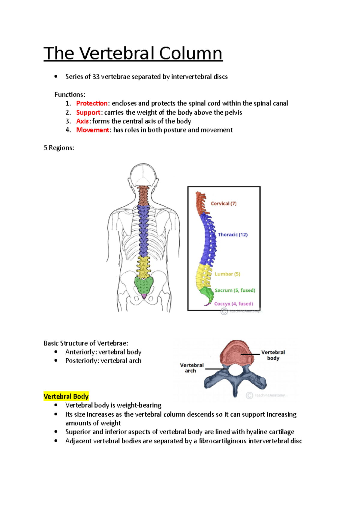 the-vertebral-column-anatomy-notes-the-vertebral-column-series-of