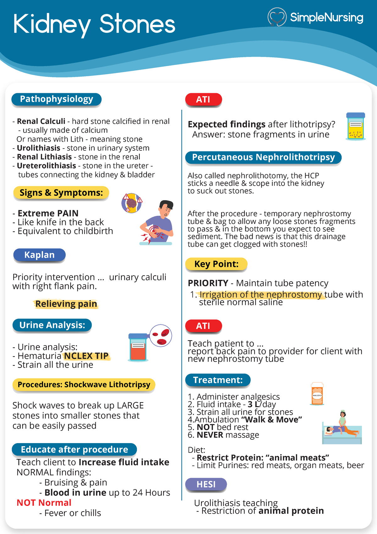 Kidney stones simple nursing sheet - Kidney Stones Signs & Symptoms ...