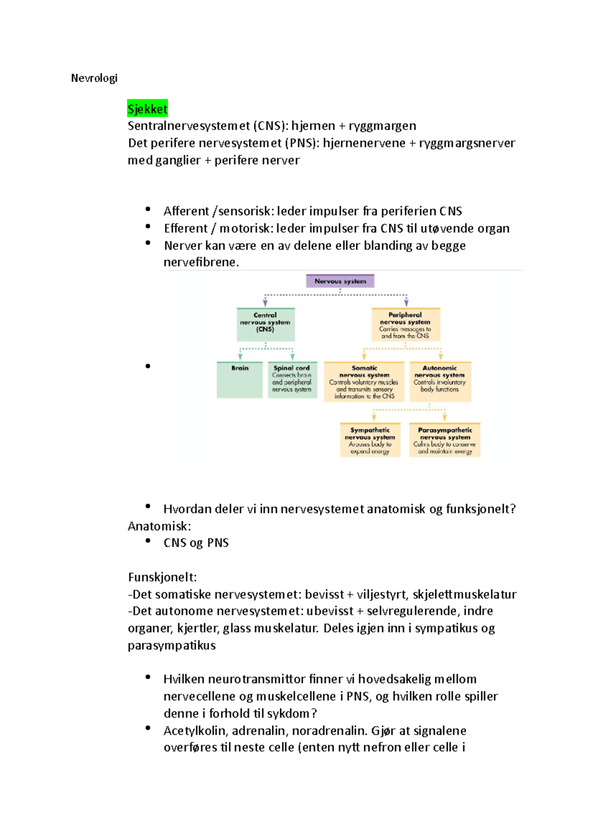 Nevrologi Dyrene - Nevrologi Sjekket Sentralnervesystemet (CNS ...