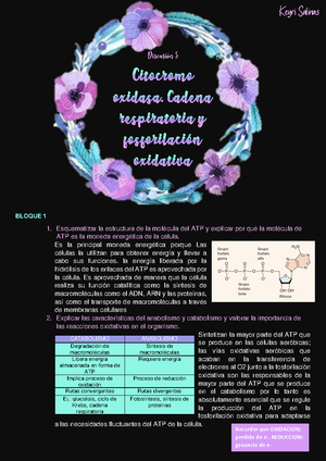 120 Preguntas De Bioquímica Para Un Examén - Examen Bioquímica I En Uno ...