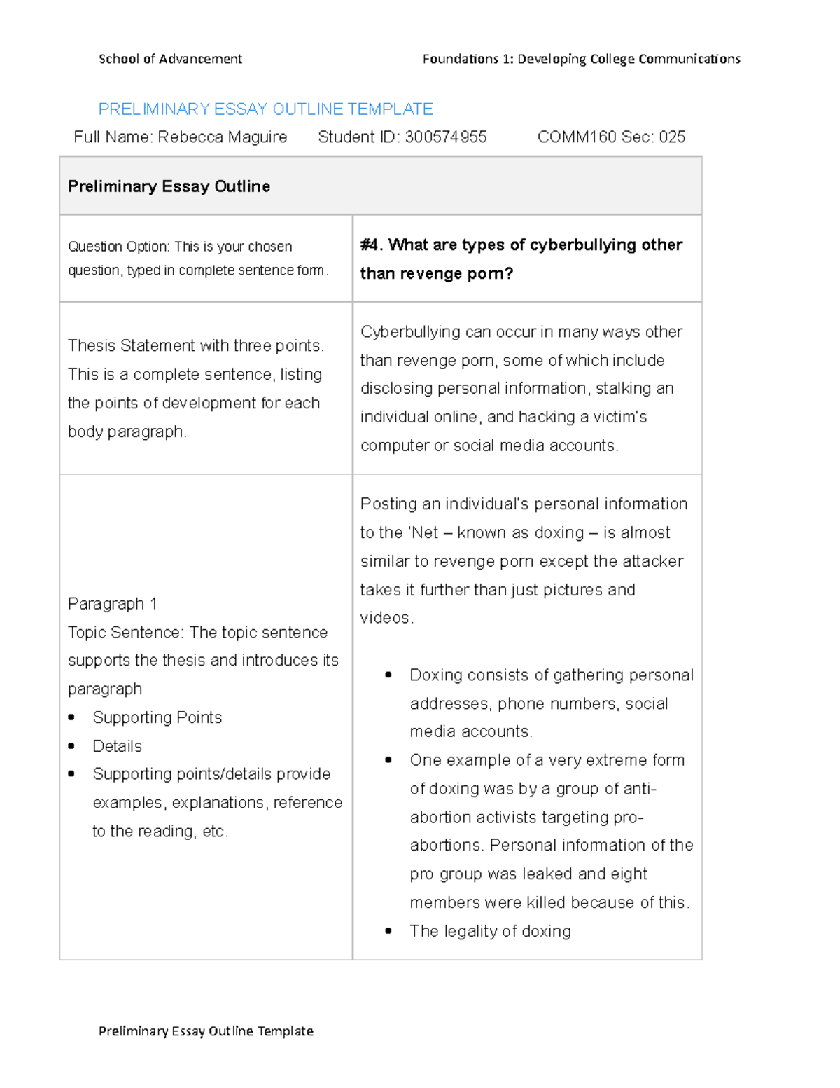 preliminary essay format