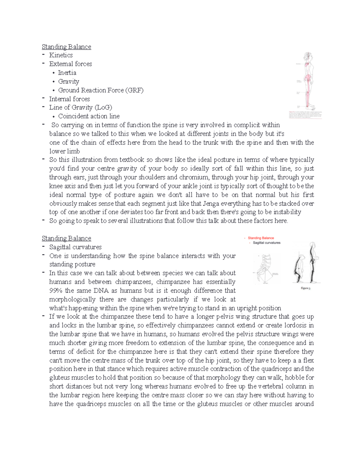 L27 - Professor Pearsall - Standing Balance - Kinetics - External ...