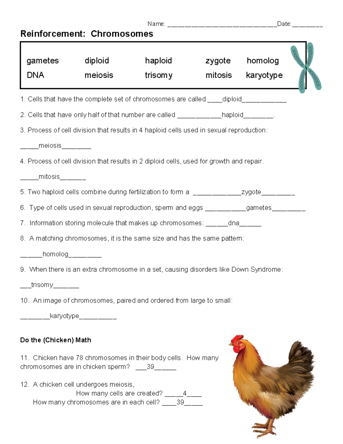 Copy of Reinforcement Chromosomes - Name: _______________________Date ...